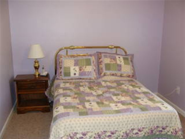 105 Forest Springs Road, Unit NEAR CLEMSON UNIVERSITY J Seneca, SC 29678 - Photo 13 of 15 Gallery Image 13