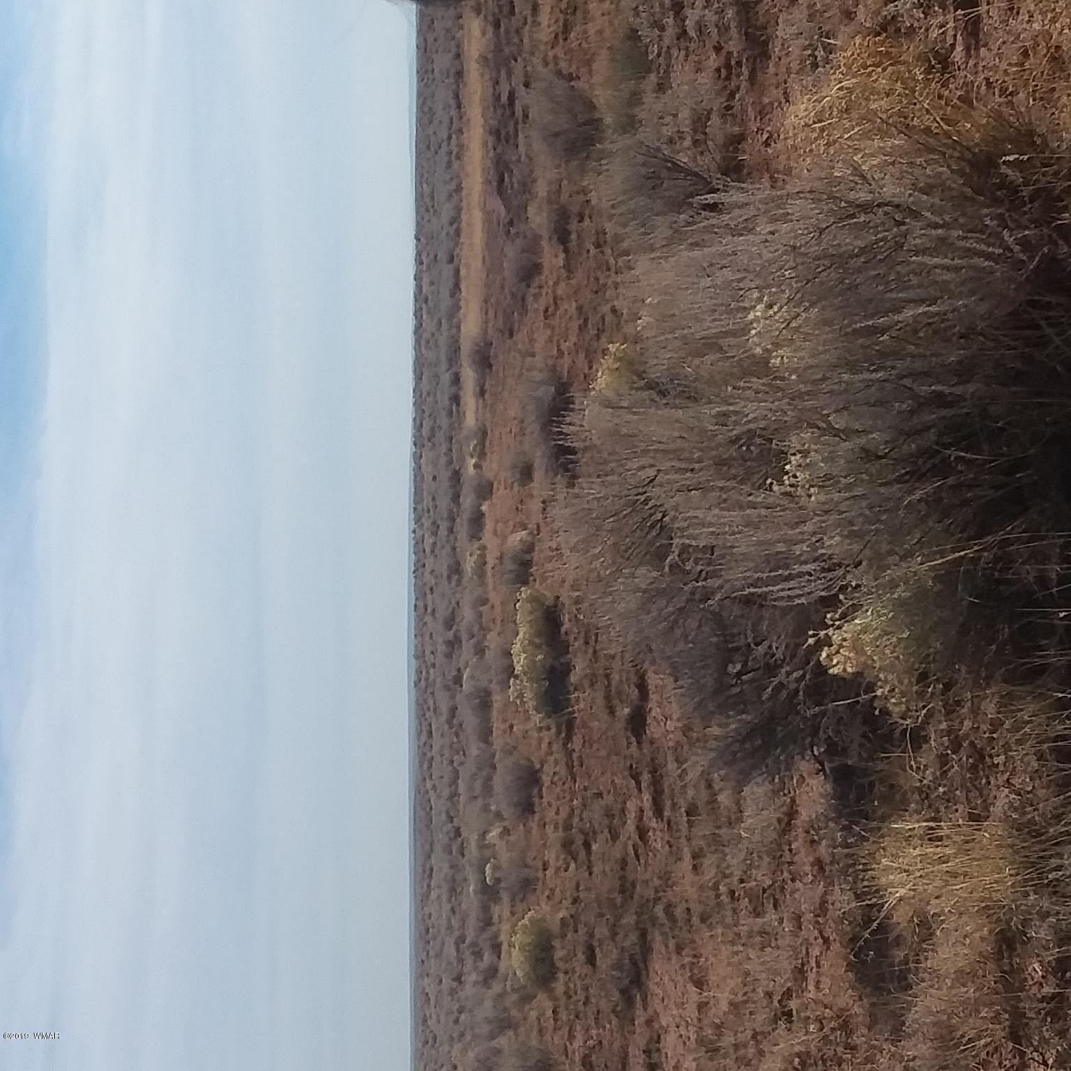 10 Cr 7002 T18 R25 Sec 35 Chambers Az 86502 Chambers, AZ 86502 - Photo 1 of 5