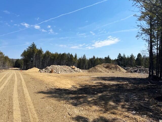 Lot 14 Milk Road Alfred, ME 04002 - Photo 4 of 22