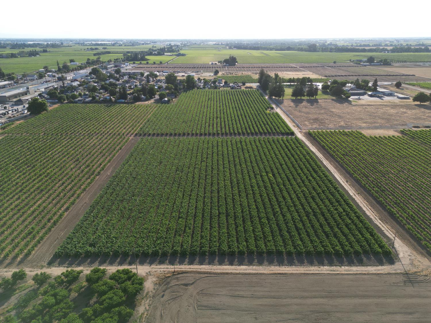 17490 Bruella Road Victor, CA 95253 - Photo 1 of 4