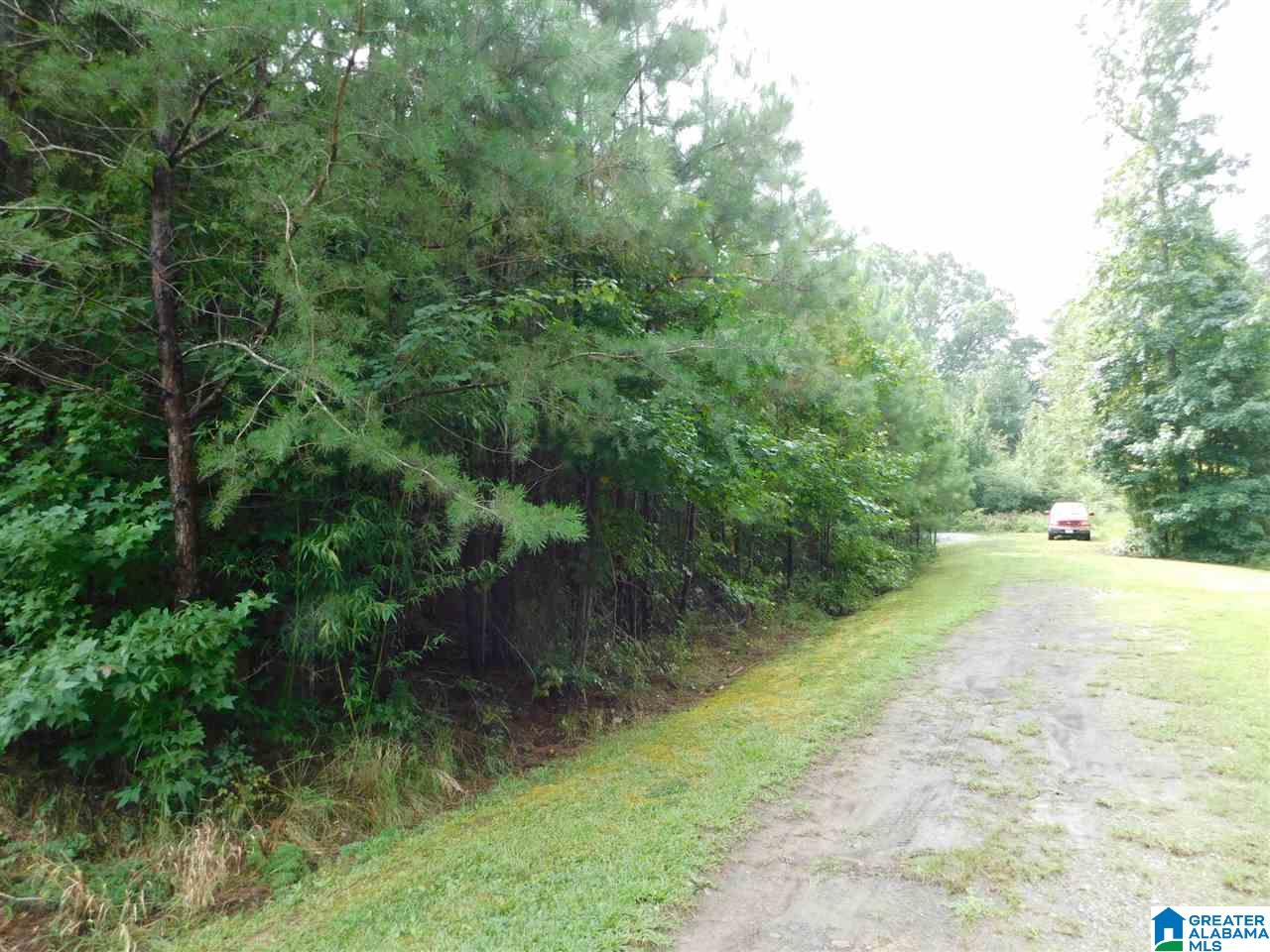 133 County Road, Unit 2 & 3 Empire, AL 35063 - Photo 5 of 15
