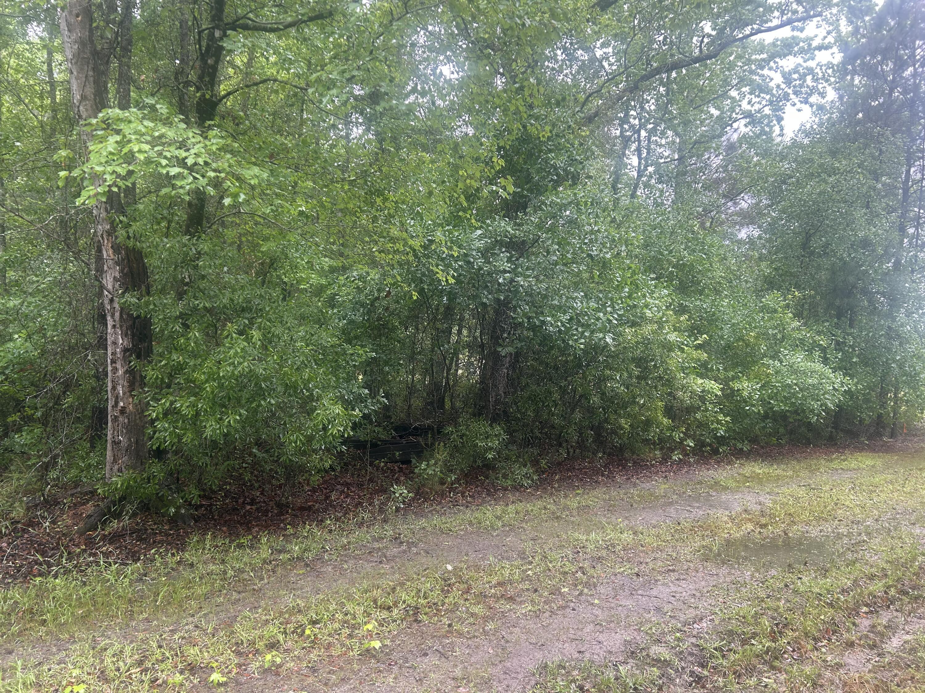 0 Corner Lane Branchville, SC 29432 - Photo 2 of 4