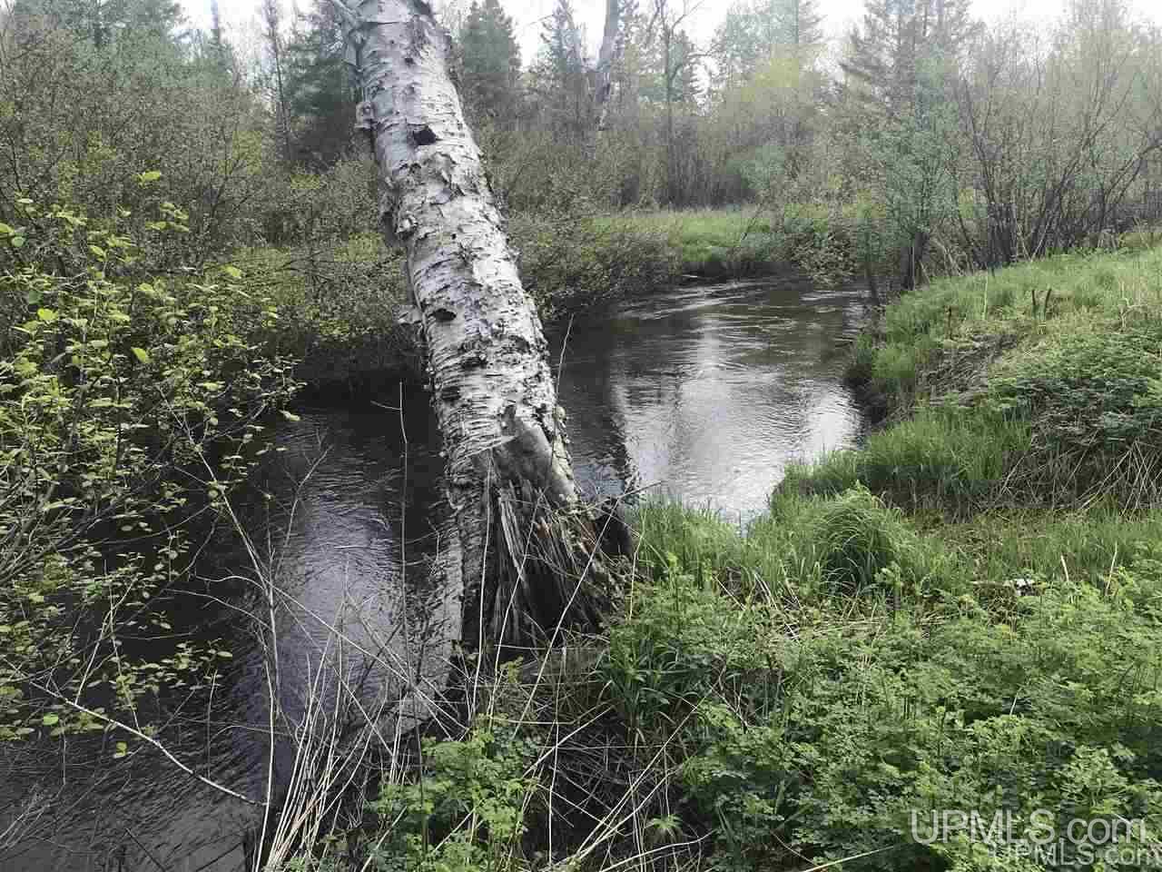 W1695 Co Road Felch, MI 49831 - Photo 10 of 50