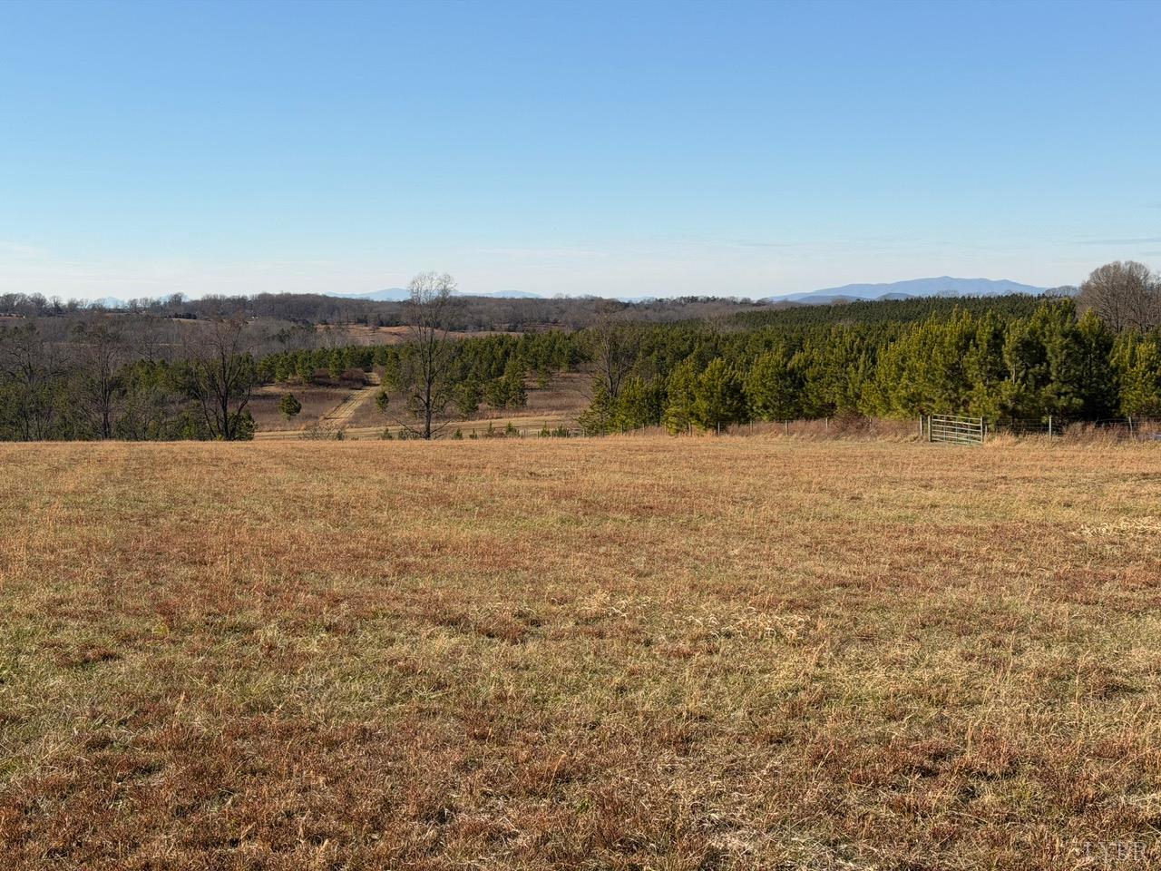 2779 Oakville Road Appomattox, VA 24522 - Photo 21 of 31 a view of lake with mountain in background