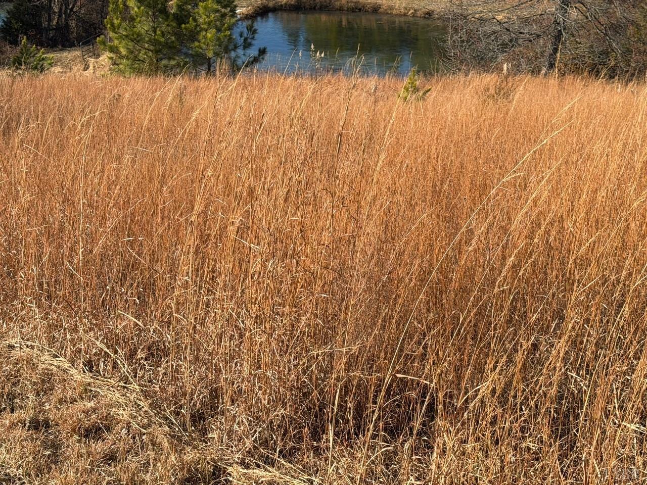 2779 Oakville Road Appomattox, VA 24522 - Photo 23 of 31