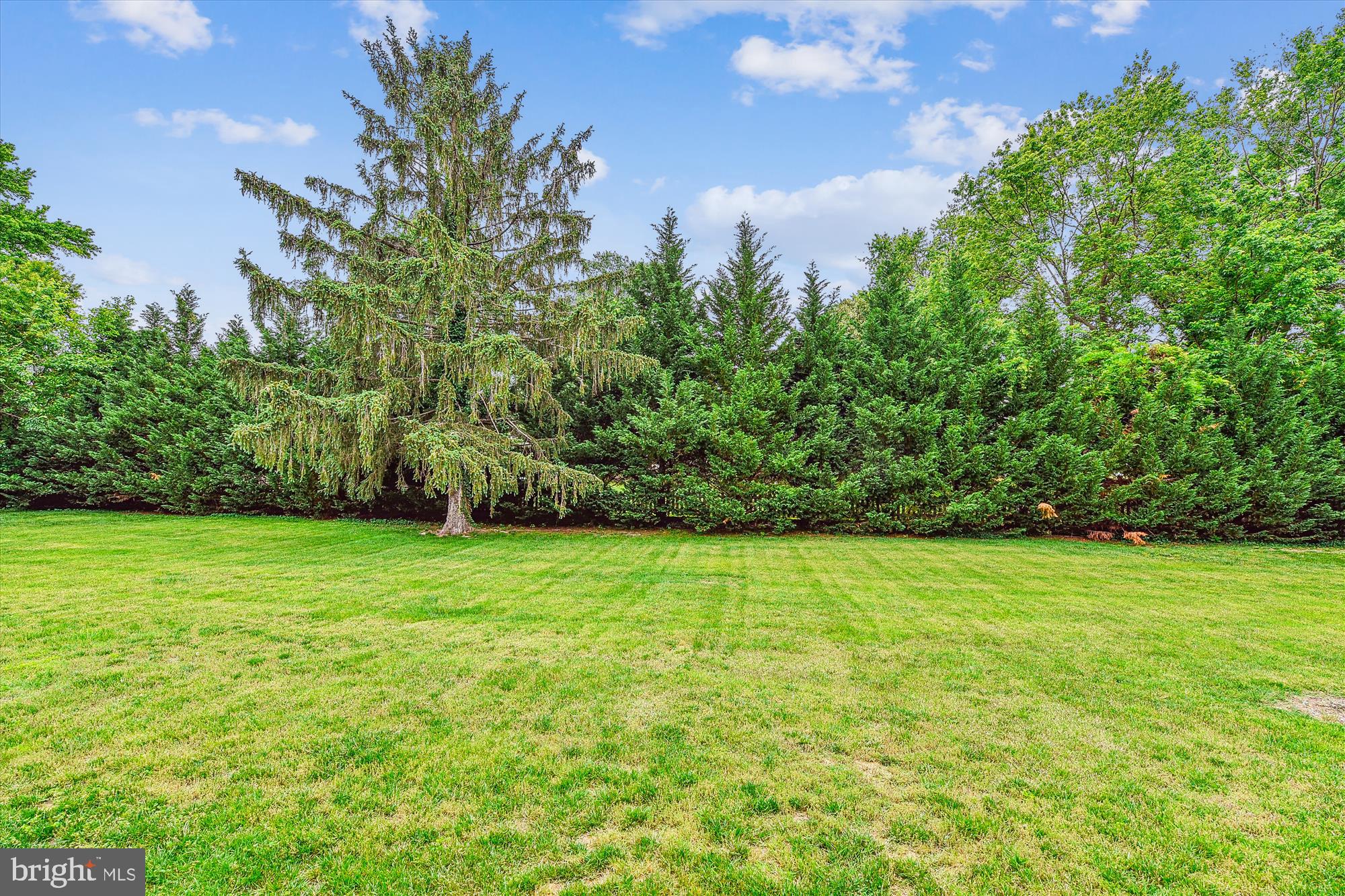 222 Wicklow Road Glen Burnie, MD 21061 - Photo 38 of 39 a view of a field with plants and trees in the background