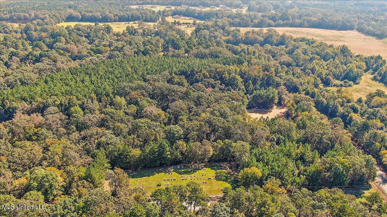 0 Cleary Road Florence, MS 39073 - Photo 15 of 25 15-00 Cleary Rd