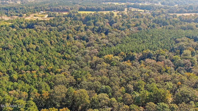 $131,675 | 0 Cleary Road, Florence, MS 39073