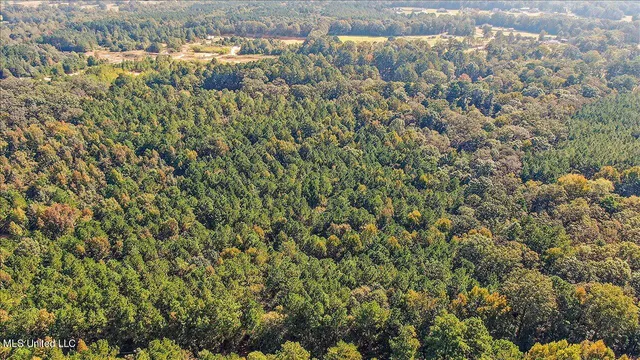 $131,675 | 0 Cleary Road, Florence, MS 39073