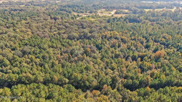 $131,675 | 0 Cleary Road, Florence, MS 39073