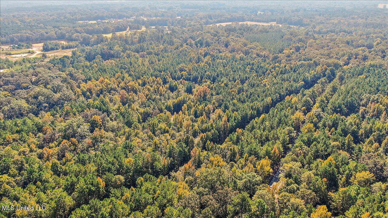 0 Cleary Road Florence, MS 39073 - Photo 20 of 25 20-00 Cleary Rd