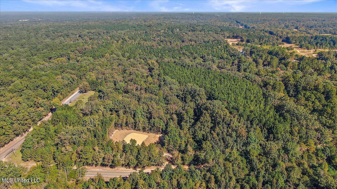 0 Cleary Road Florence, MS 39073 - Photo 2 of 25 02-00 Cleary Rd