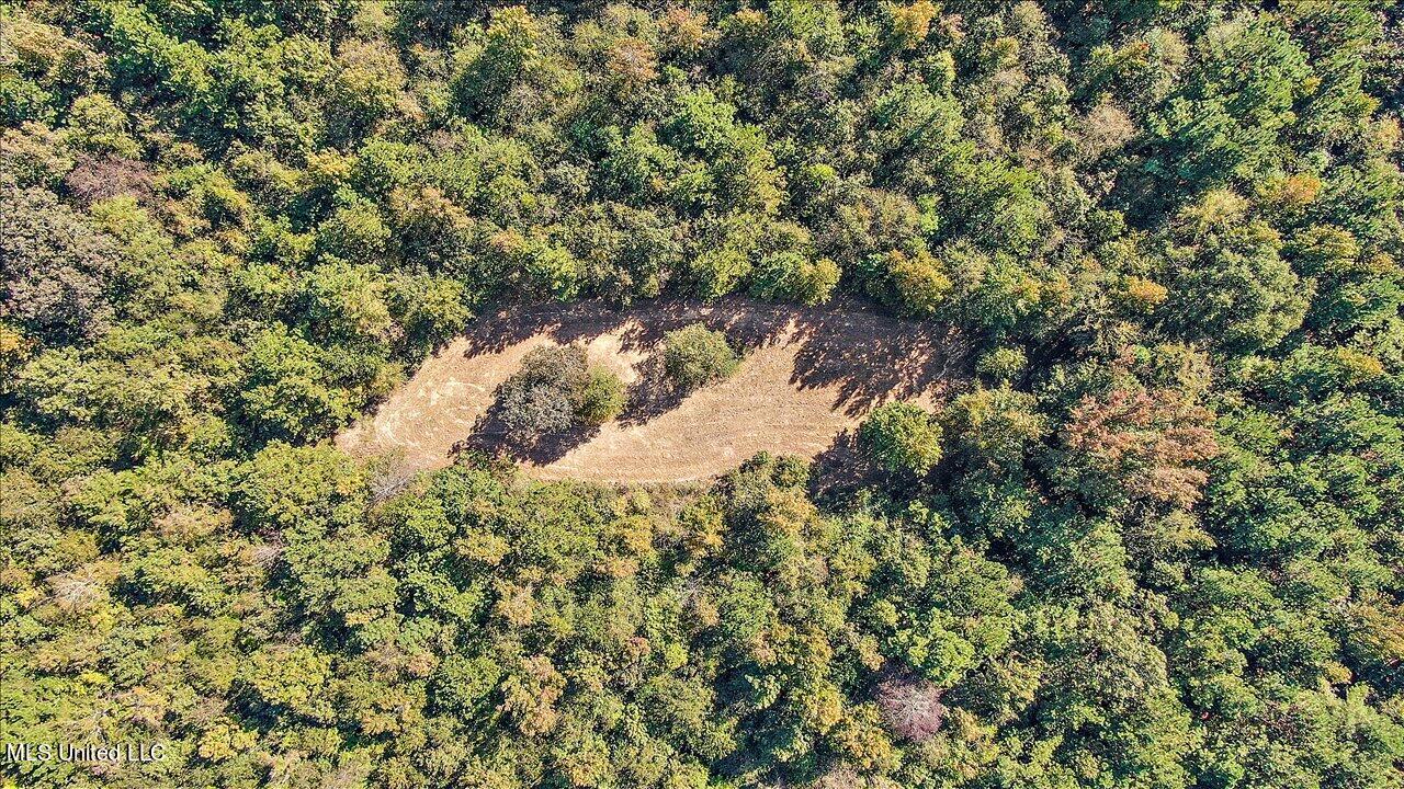 0 Cleary Road Florence, MS 39073 - Photo 23 of 25 23-00 Cleary Rd