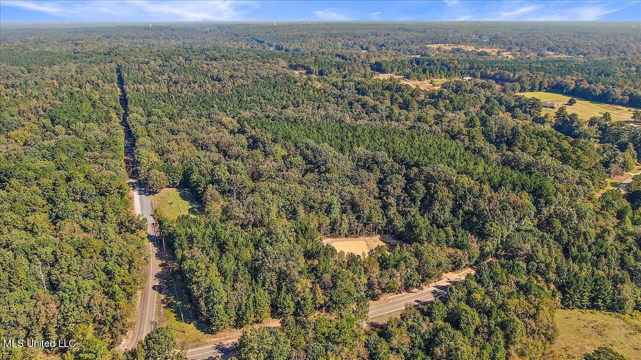 0 Cleary Road Florence, MS 39073 - Photo 3 of 25 03-00 Cleary Rd