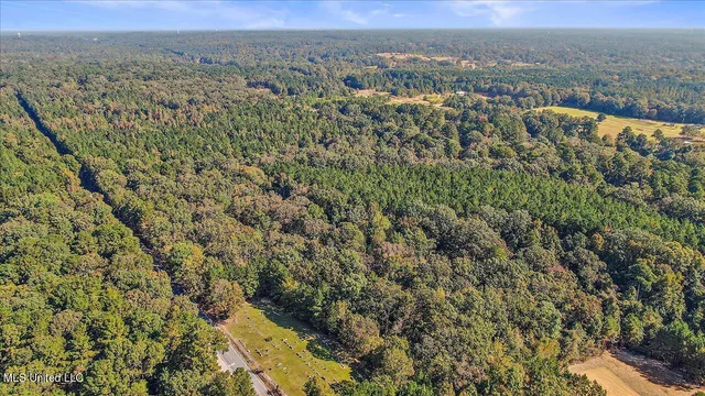 $131,675 | 0 Cleary Road, Florence, MS 39073