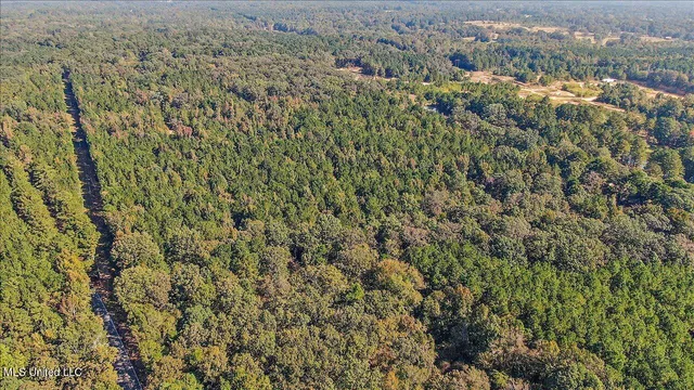 $131,675 | 0 Cleary Road, Florence, MS 39073