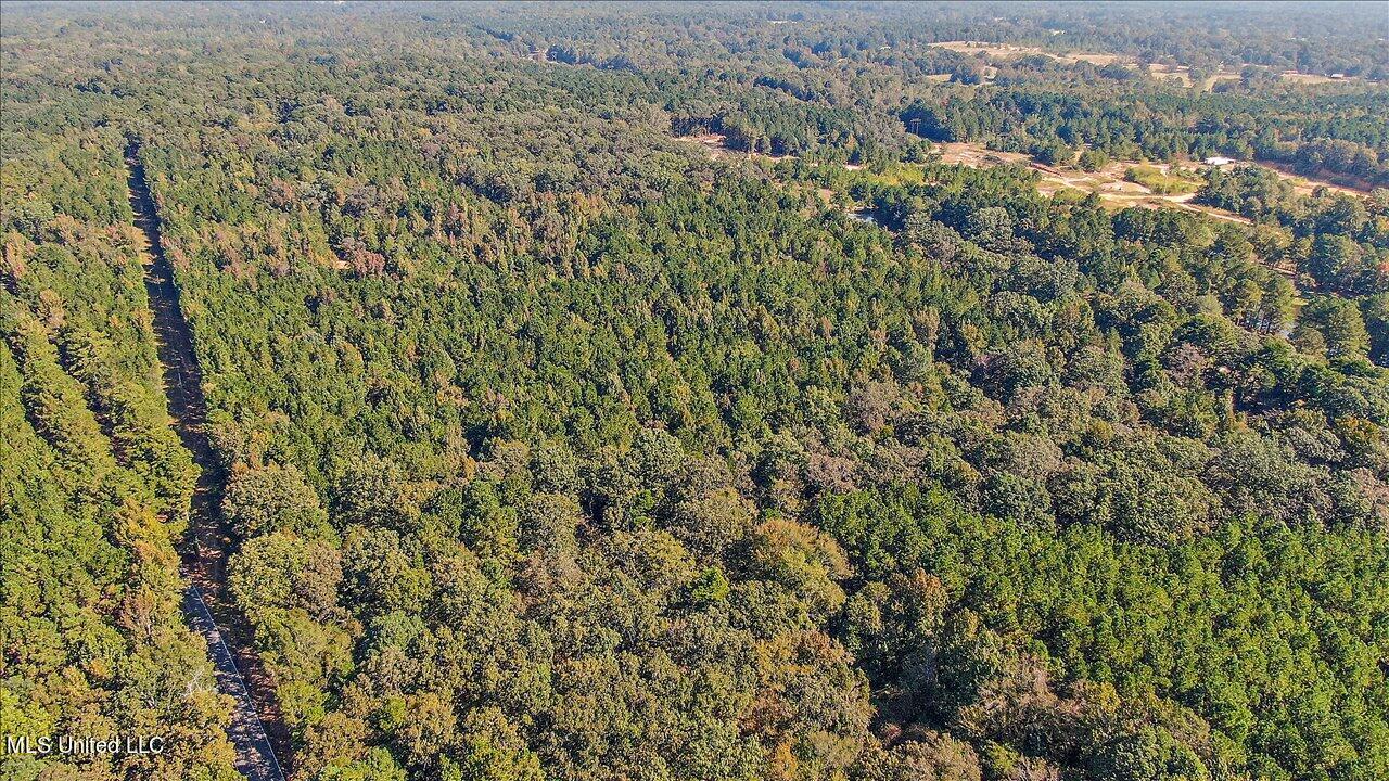 0 Cleary Road Florence, MS 39073 - Photo 5 of 25 05-00 Cleary Rd