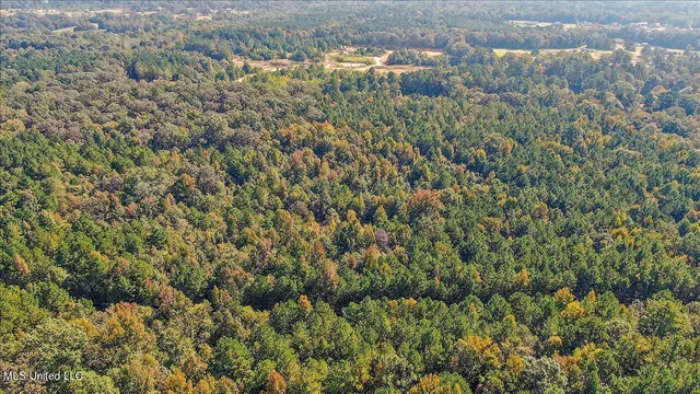 $131,675 | 0 Cleary Road, Florence, MS 39073