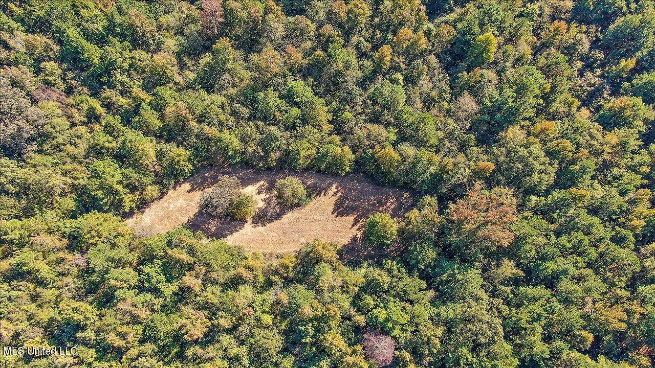 0 Cleary Road Florence, MS 39073 - Photo 8 of 25 08-00 Cleary Rd