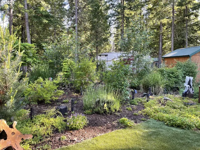 a backyard of a house with lots of green space