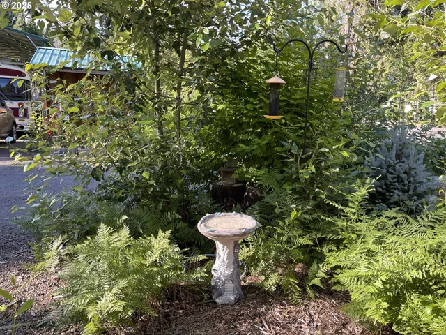a view of a backyard of a house with a fountain plants and large trees