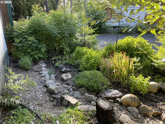 a backyard of a house with lots of green space