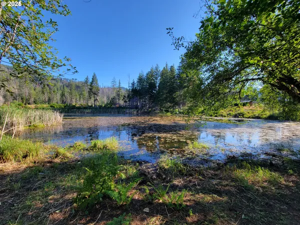 $69,500 | 54432 McKenzie Highway, Unit 18, Blue River, OR 97413