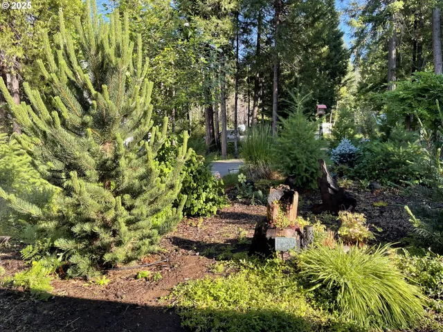 a view of yard with green space