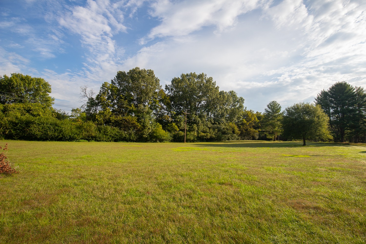 1542 Neelys Bend Road Madison, TN 37115 - Photo 45 of 47 Gallery Image 45