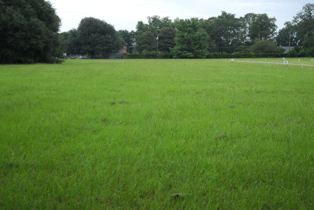 0 Two Two Notch Road Southeast Aiken, SC 29801 - Photo 1 of 1
