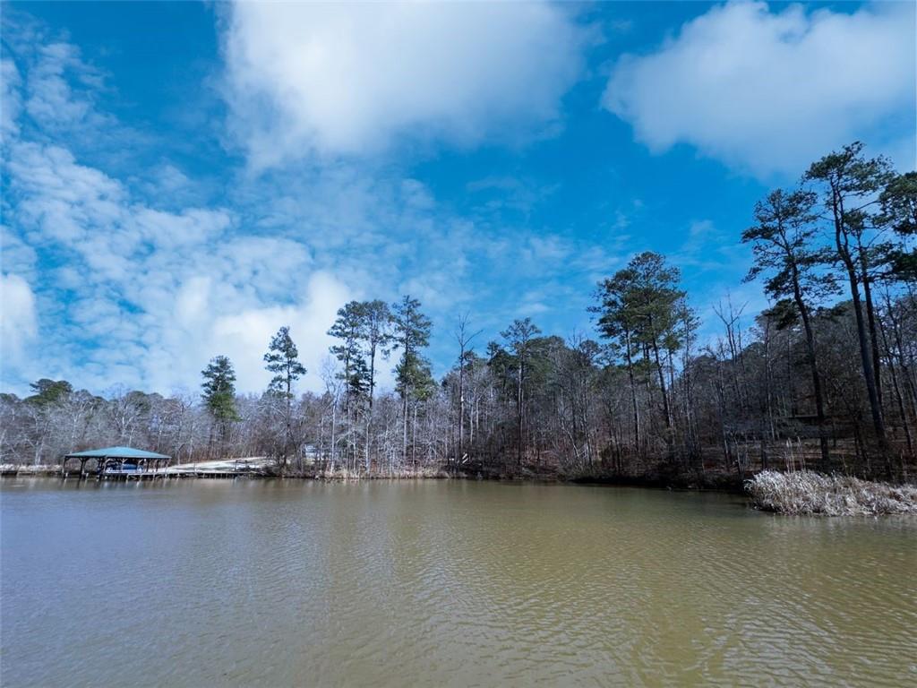 0 North Steel Bridge Road Eatonton, GA 31024 - Photo 3 of 17