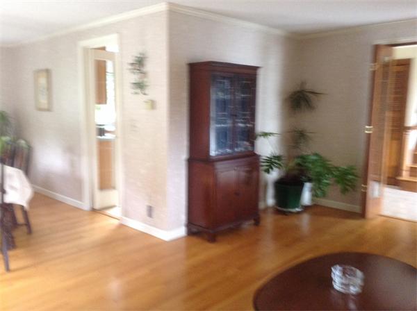 357 Glendale Road Hampden, MA 01036 - Photo 6 of 30 a view of livingroom with furniture and a potted plant