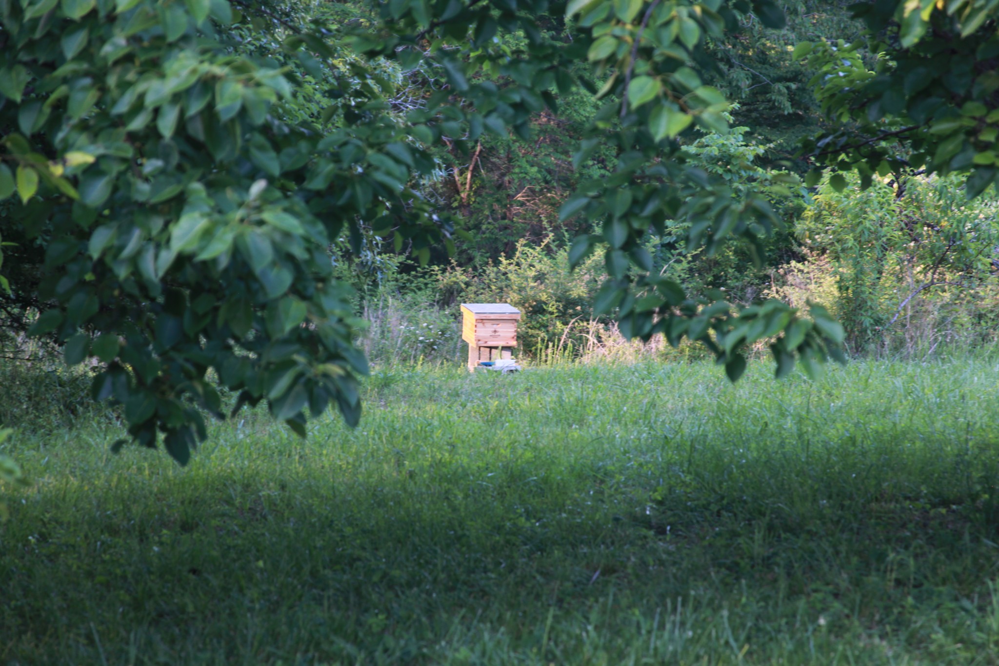 208 Tomsic Road Indian Mound, TN 37079 - Photo 34 of 40 Gallery Image 34