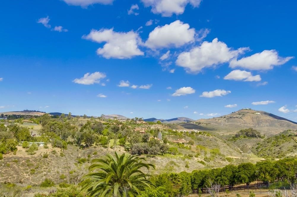 6160 Avenida Del Duque Rancho Santa Fe, CA 92091 - Photo 4 of 39