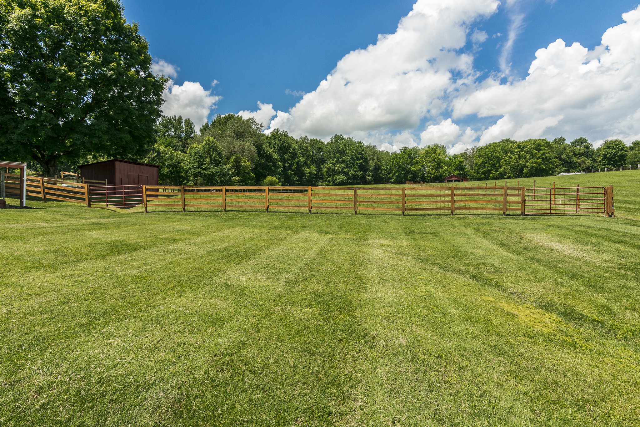 7253 Bidwell Road Joelton, TN 37080 - Photo 18 of 48 Gallery Image 18