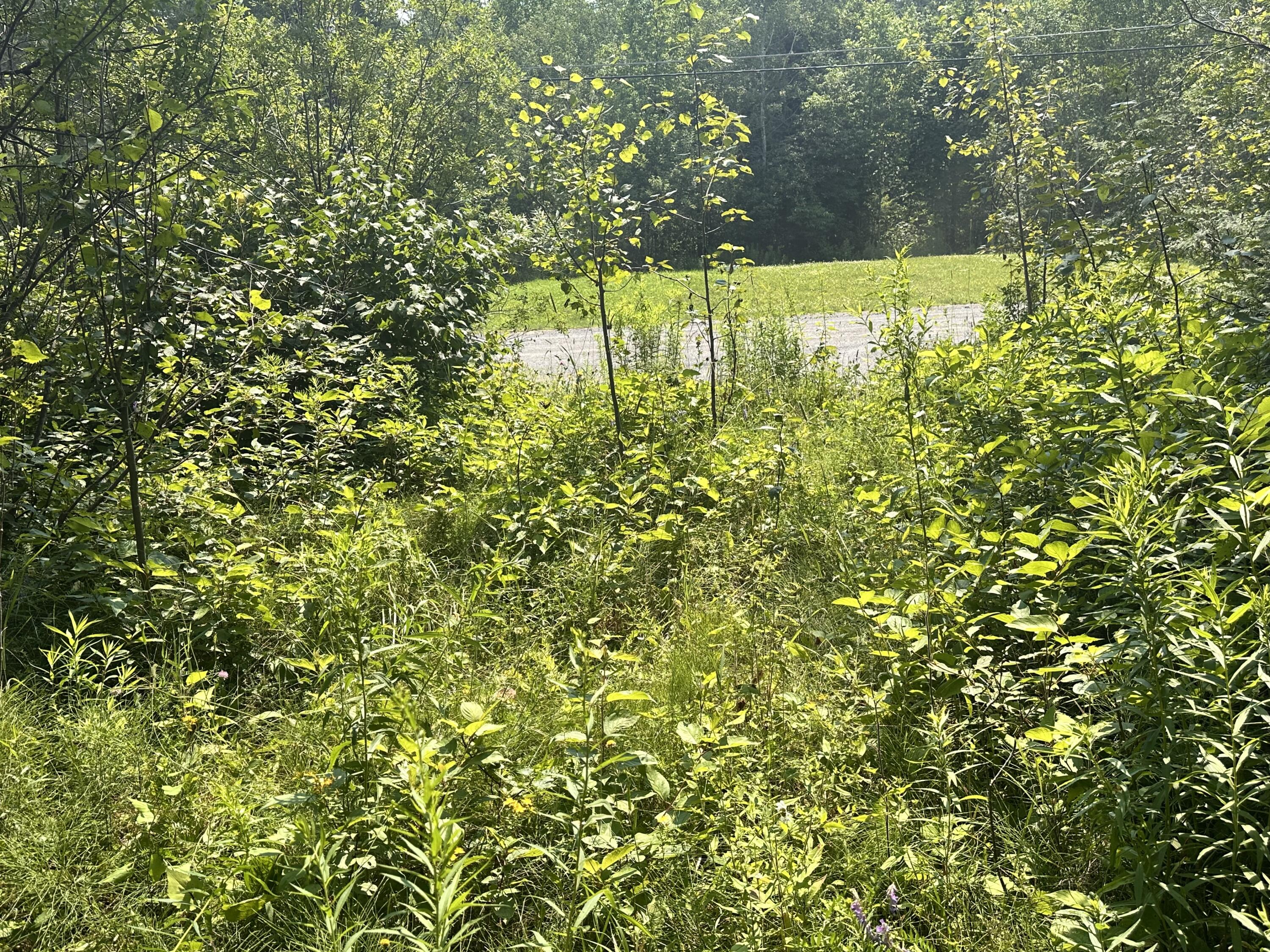Map3-lot7e Fowler Road Woodland, ME 04736 - Photo 7 of 8 IMG_7422