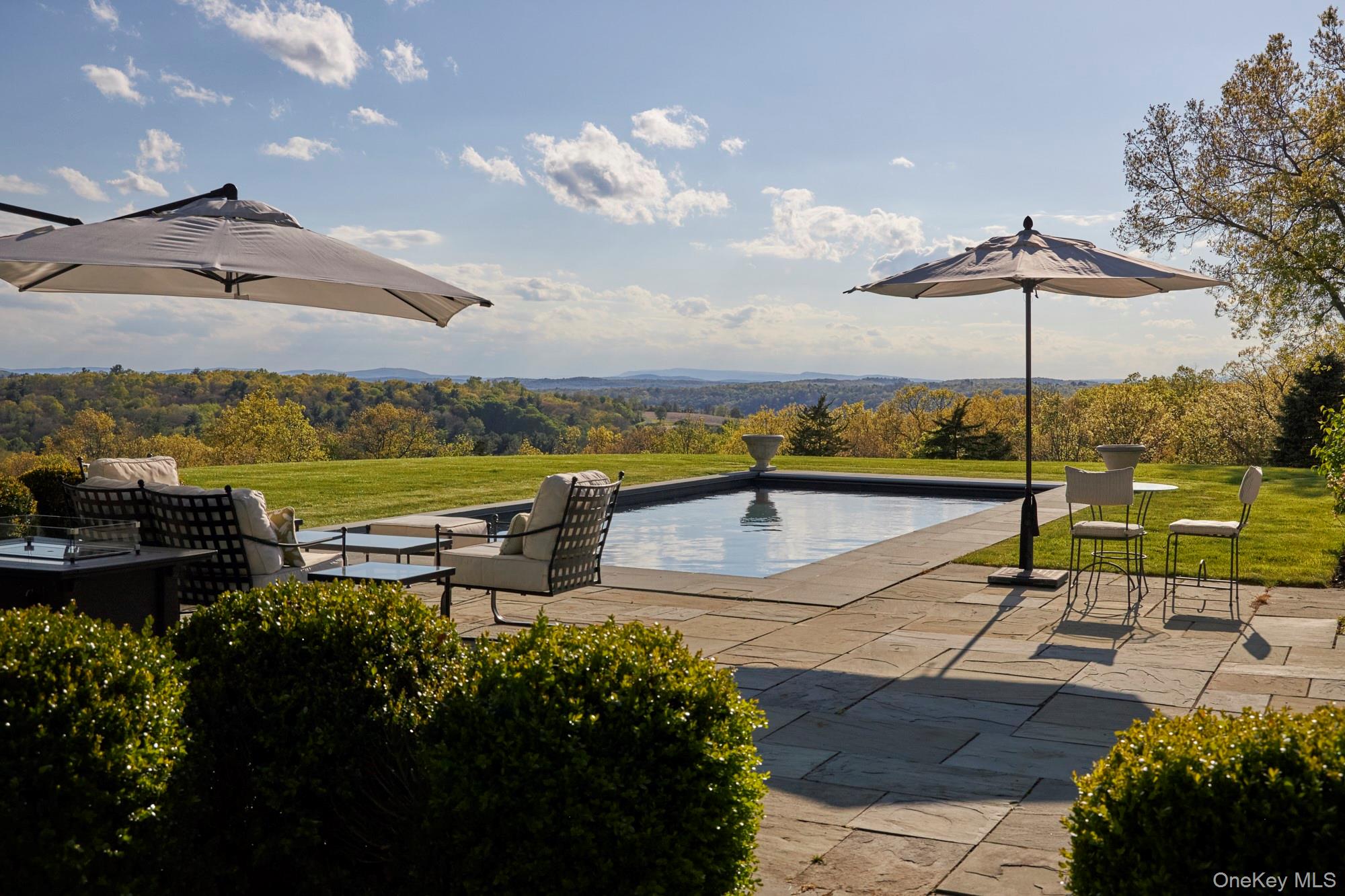 790 Stanford Road Millbrook, NY 12545 - Photo 48 of 50 a view of a swimming pool and lounge chairs in back yard