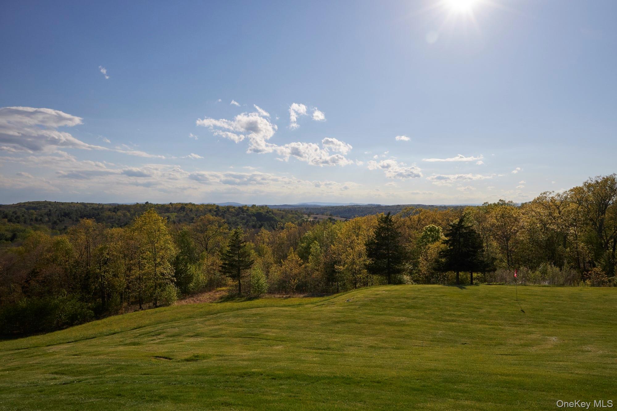 790 Stanford Road Millbrook, NY 12545 - Photo 49 of 50 a view of lake view and mountain