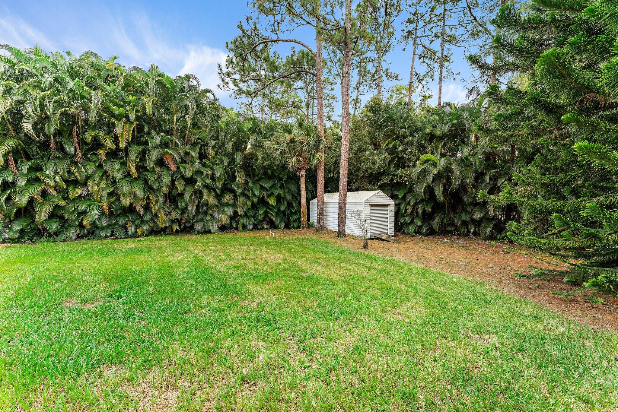 15784 Alexander Run Jupiter, FL 33478 - Photo 34 of 44 a backyard of a house with lots of green space