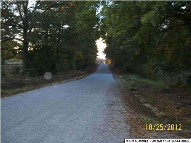 1724 McCauley Road Byhalia, MS 38611 - Photo 6 of 22 Additional Photo