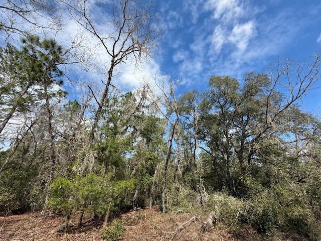 Tbd Southwest 158th Lane Dunnellon, FL 34432 - Photo 1 of 1 a view of a yard