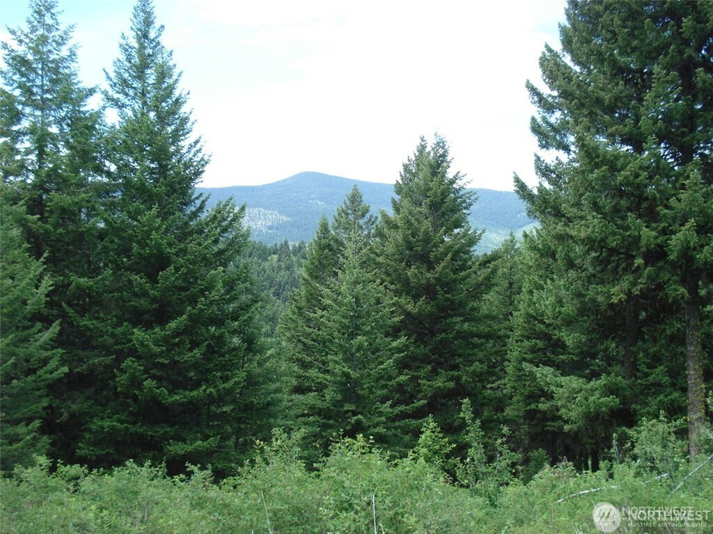 an aerial view of residential house with outdoor space and trees all around