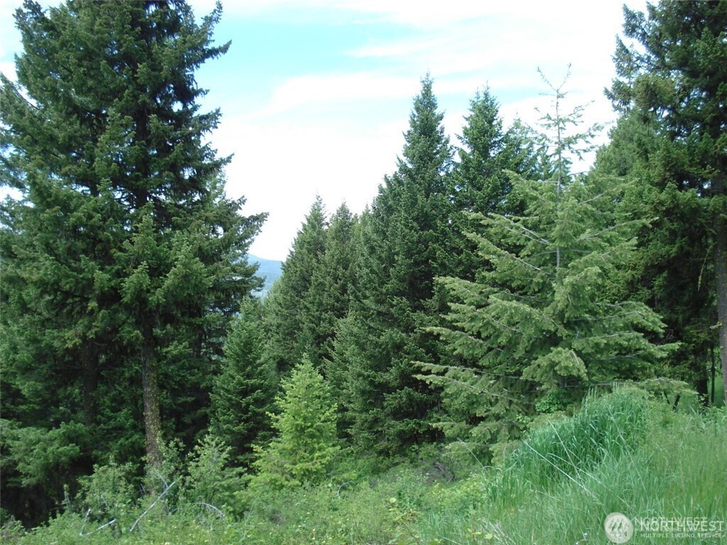 1-tbd Wellman Road Republic, WA 99166 - Photo 2 of 3 an aerial view of a forest with houses