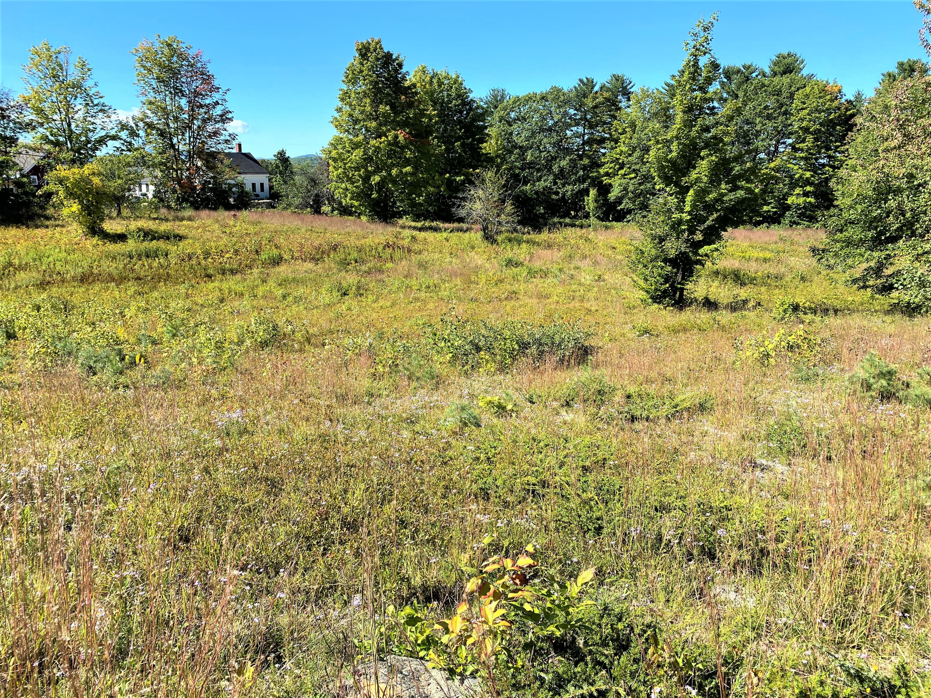 Lot 12 Libby Road West Newfield, ME 04095 - Photo 14 of 18 IMG_115964