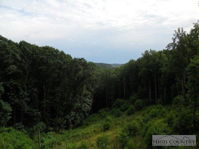 320 White Tail Ridge Road Boone, NC 28607 - Photo 29 of 34 Gallery Image 29