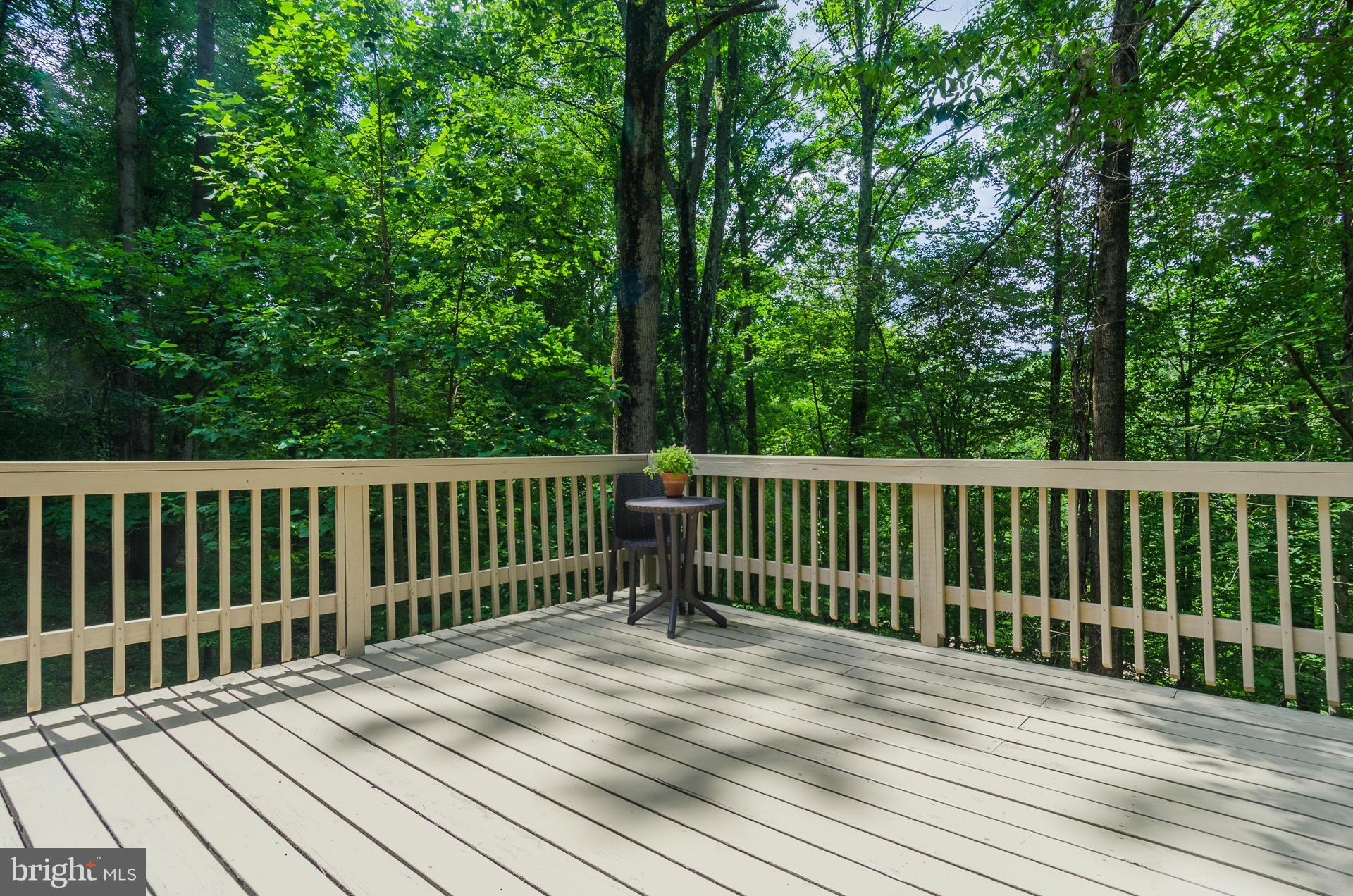 13917 Thornton Mill Road Sparks, MD 21152 - Photo 26 of 30 Rear Deck