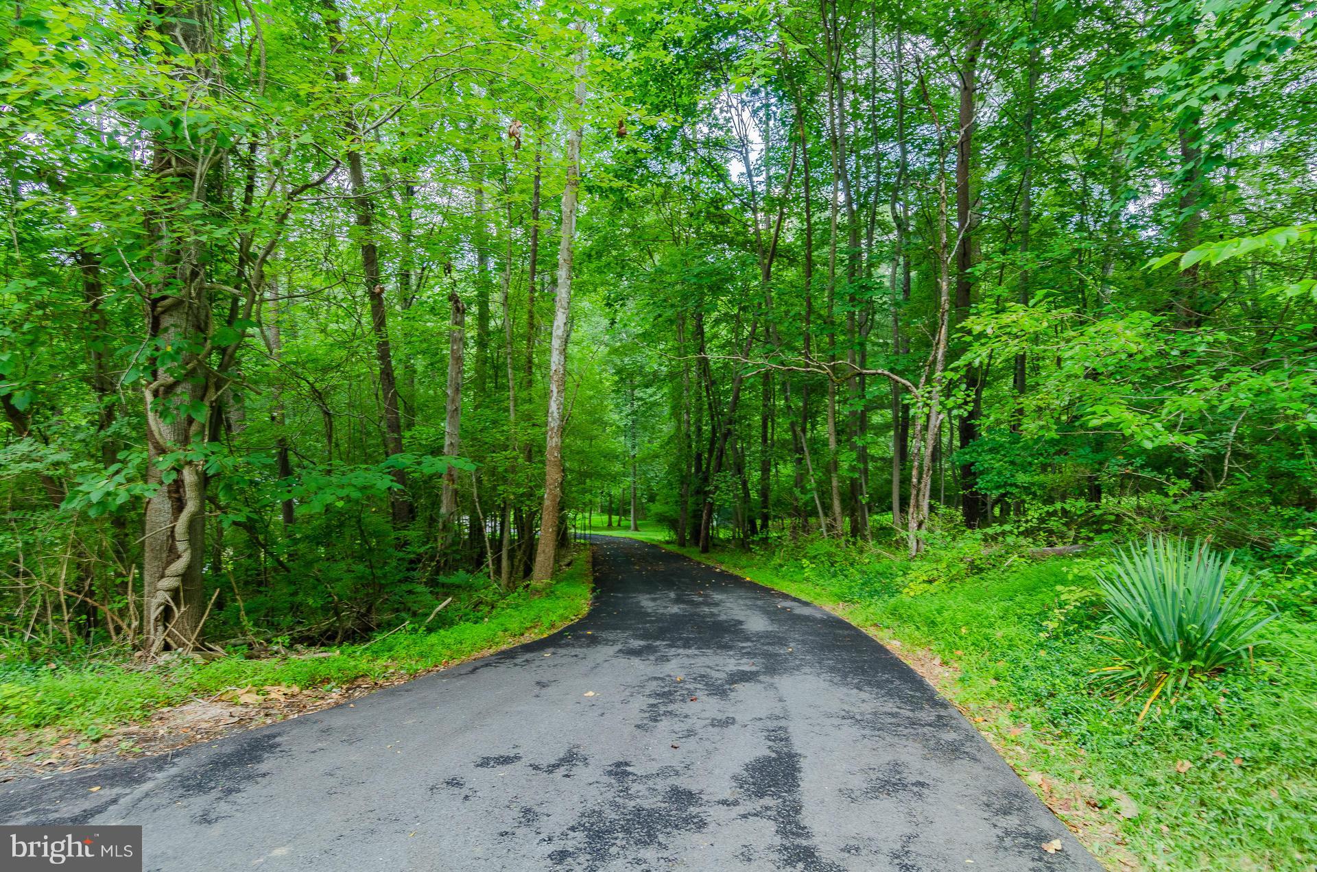 13917 Thornton Mill Road Sparks, MD 21152 - Photo 30 of 30 Private Driveway