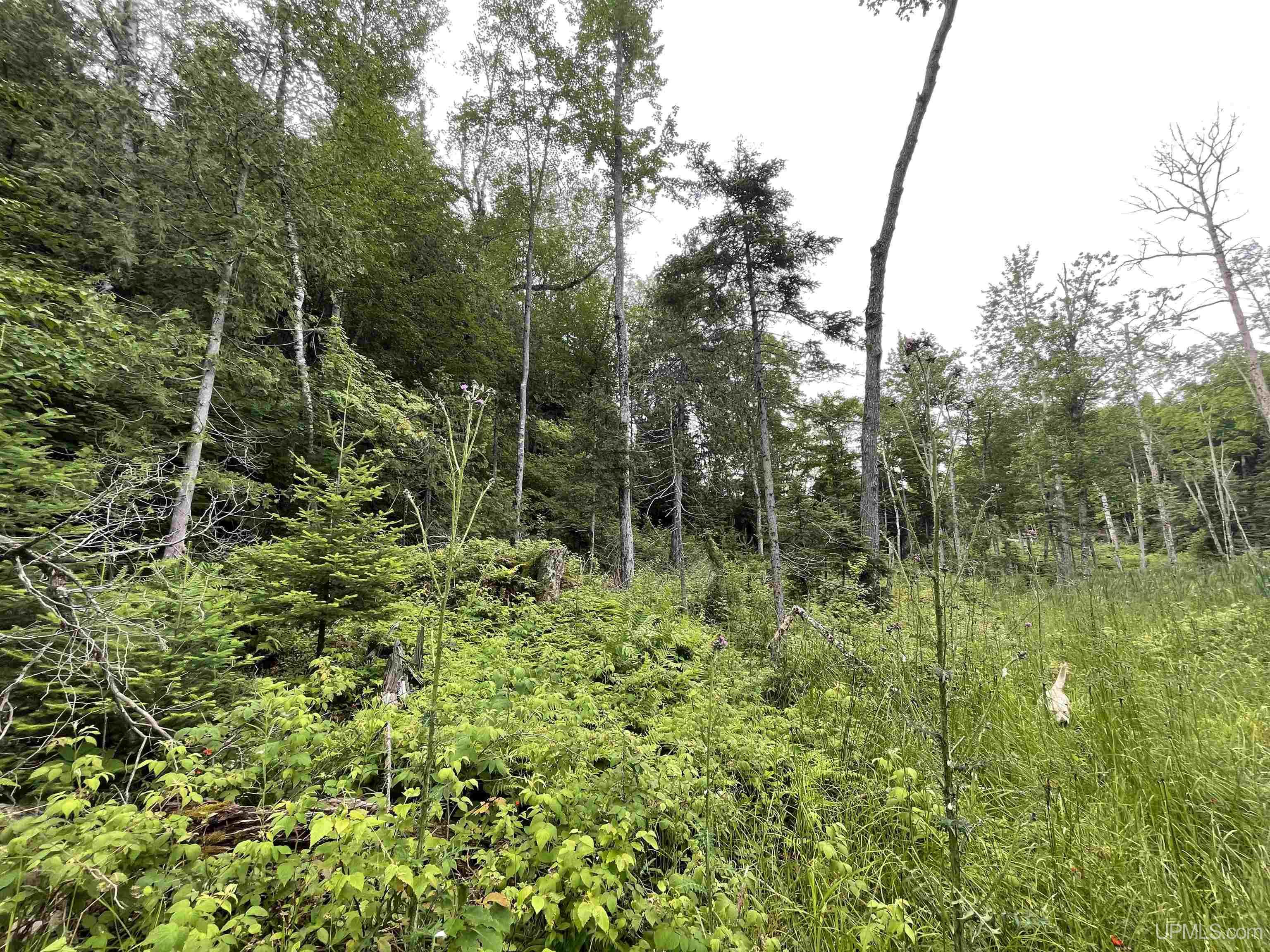 24-acres Cooper Lake Road Ishpeming, MI 49849 - Photo 11 of 13