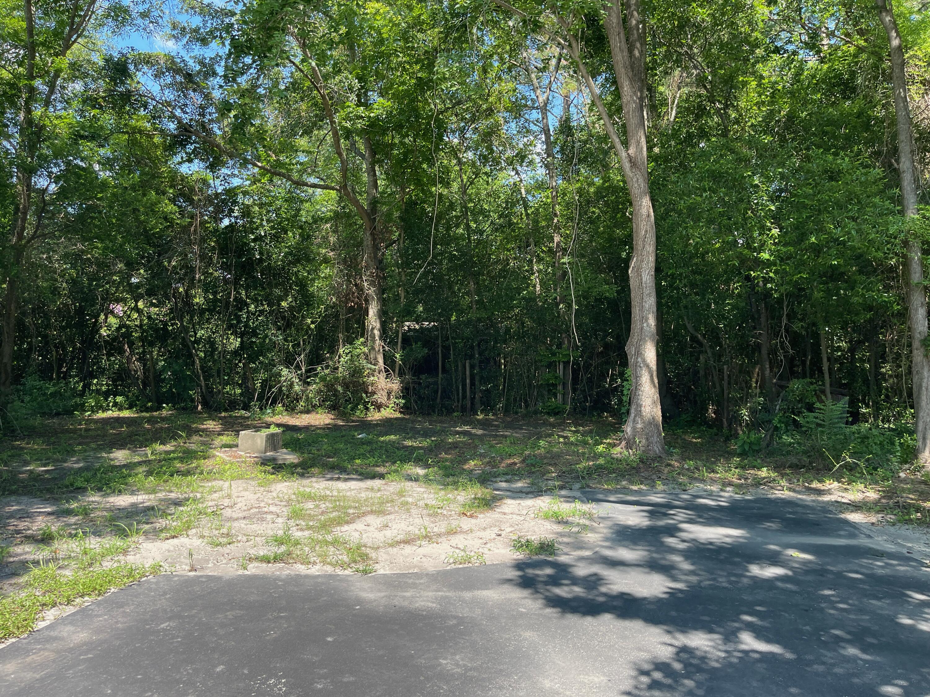 103 Ann Street St. George, SC 29477 - Photo 19 of 20 large backyard with mature trees