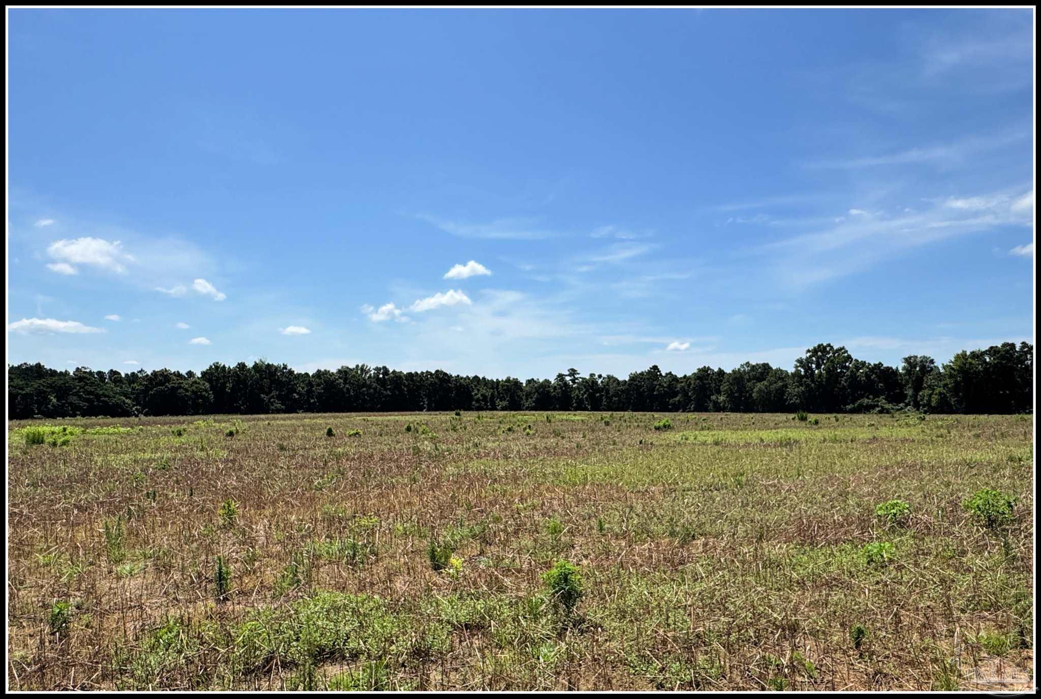 9150 3 Hollow Road Jay, FL 32565 - Photo 9 of 11